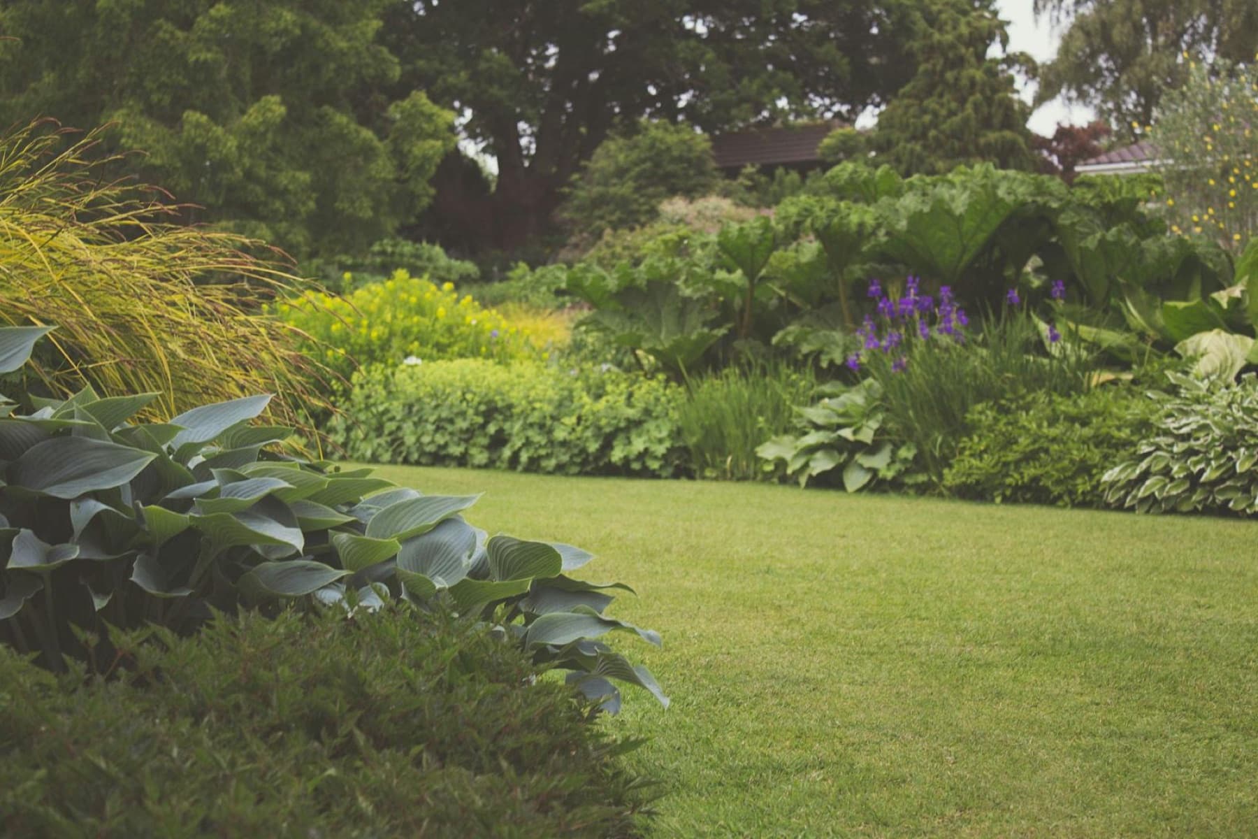 A established residential garden with mature planting and a tidy lawn